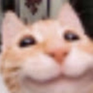 Meet your Posher, Yenethsy